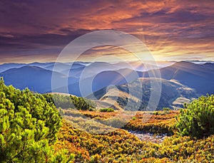 Colorful autumn sunrise in Carpathian mountains.