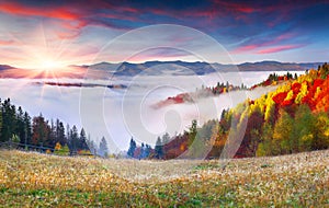 Colorful autumn sunrise in the Carpathian mountains