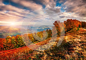 Colorful autumn sunrise in the mountains