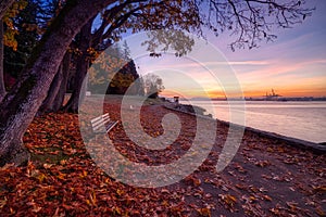 Colorful Autumn Sunrise at Stanley Park