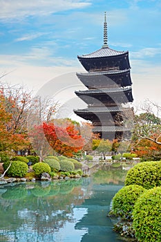 Colorful Autumn at Toji Temple in Kyoto