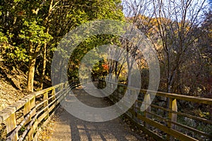 Colorful autumn trail in countryside of Osaka, Japan