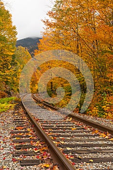 Colorful Autumn Train Tracks