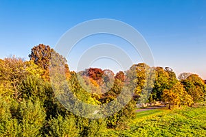 Colorful autumn trees