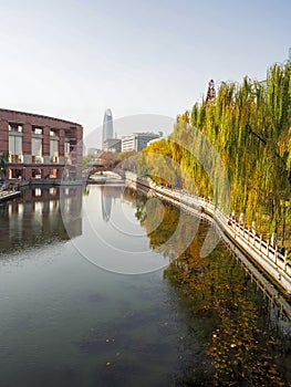 Colorful autumn trees along the canal in Huancheng Park in the city center of Jinan, Shandong province