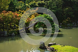 Colorful autumn trees along pond at traditional Japanese zen garden Sogenchi at Tenryu-ji Temple in Kyoto, Japan