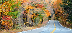 Autumn trees along scenic route in New Hampshire photo