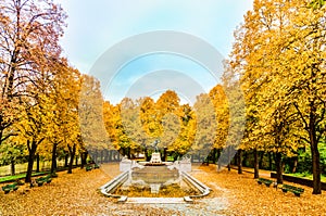 Colorful Autumn trees arround Vater Rhein fountain in Munich photo