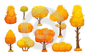 Colorful autumn trees. Cartoon yellow fall tree and autumnal garden bush for landscape background vector set