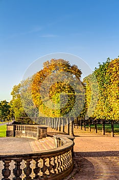 Colorful autumn trees in Dresden