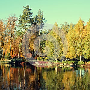 Colorful autumn trees reflected at the pond