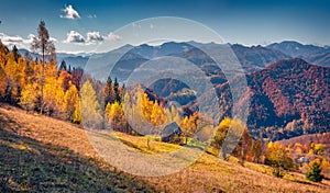 Colorful autumn view of Carpathian mountains, Ukraine, Europe.