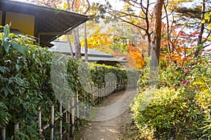 Colorful Autumn view of lane and Traditional Huts in Japanese Garden, Tsurumi Ryokuchi Park, Osaka, Japan