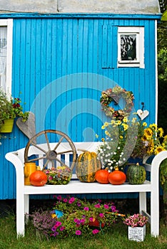 Colorful autumnal garden idyll with pumpkins