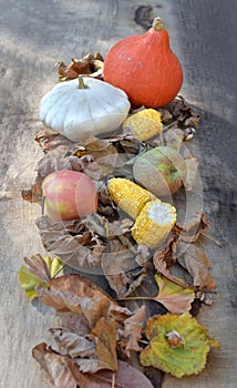 colorful autumnal vegetables and fruits in leaves on wooden background