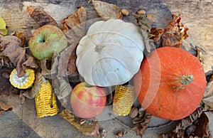 Colorful autumnal vegetables and fruits in leaves  on wooden background