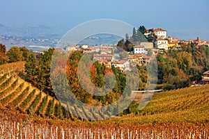 Colorful autumnal vineyards on the hills of Langhe, Italy.