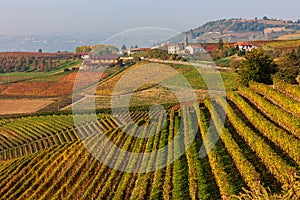 Colorful autumnal vineyards near Barolo, Italy.