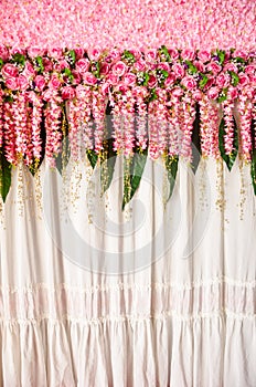 Colorful backdrop pink rose flowers.