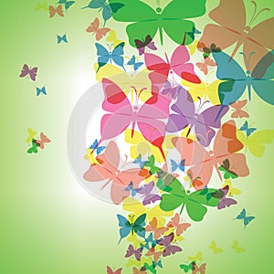 Colorful background with butterfly