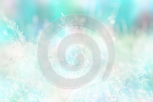 Colorful background grass flower sping nature background photo