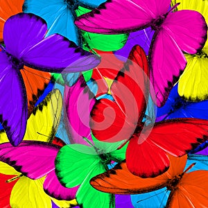 Colorful background made of fancy butterflies