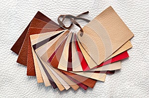 Colorful background of multi-colored pieces of genuine leather of different textures, color swatches for choice