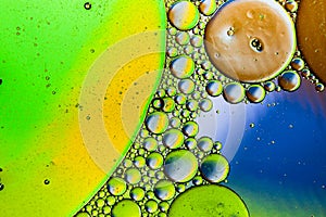 Colorful background of oil drops on the water surface.