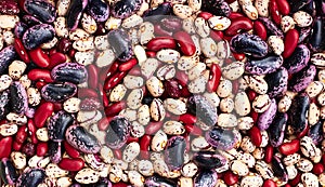 Colorful background texture from variety of haricot beans