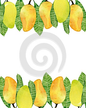 Colorful background with watercolor mango fruit frame