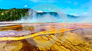 The colorful Bacterial Mats of the Grand Prismatic Spring in Yellowstone National Park