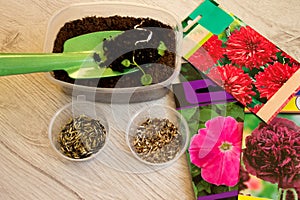 Colorful bags of seeds and scattering in jars,on the shoulder blade of a young green plant