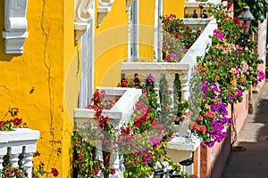 Colorful Balconies photo
