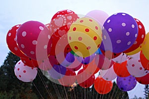 Colorful balloon in blue sky