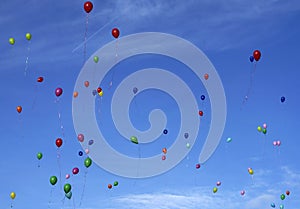 Colorful balloons against a blue sky