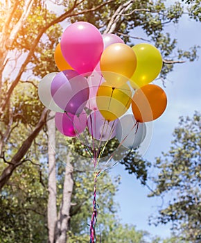 Colorful balloons on the blue sky photo