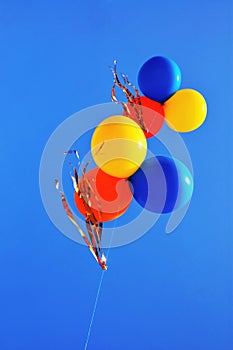 Colorful balloons in the blue sky