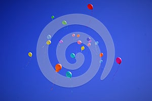 Colorful balloons in the blue sky