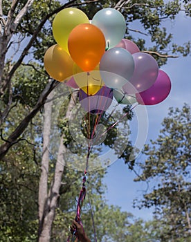 Colorful balloons on the blue sky
