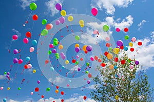 Colorful Balloons Released in Blue Sky