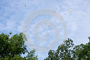 Colorful balloons and a seagull in the sky