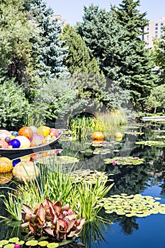 Colorful Balls in Blue Pond