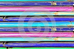 Colorful of Bamboo , texture.