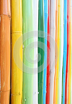 Colorful of bamboo wall texture