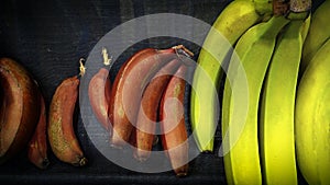 Colorful bananas in the market