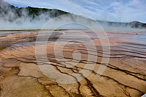 Colorful bands of thermophilic bacteria in Yellowstone National Park