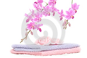 Colorful bathroom set with rose petal shaped soap