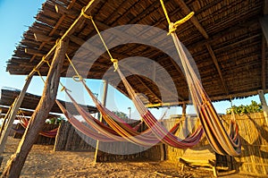 Colorful Beach Hammocks photo