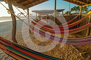 Colorful Beach Hammocks