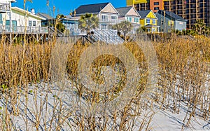 Colorful Beach Houses Behind The Sand Dunes of Surfside Beach